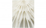 Bytt til bilde nr. 4 (REEF Stjerne 50cm Off-White)