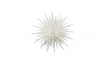 Bytt til bilde nr. 1 (DUST Stjerne 70cm Off-White)