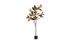 Bytt til bilde nr. 1 (GUMMI Kunstig plante 170cm)