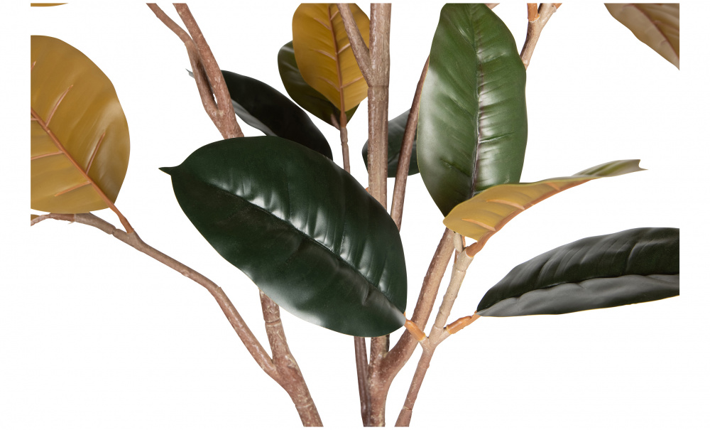 Bilde nr 4 (GUMMI Kunstig plante 170cm)