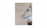 TINTIN Teppe Sand 200x300 Bytt til bilde nr. 3 (TINTIN Teppe Sand 200x300)